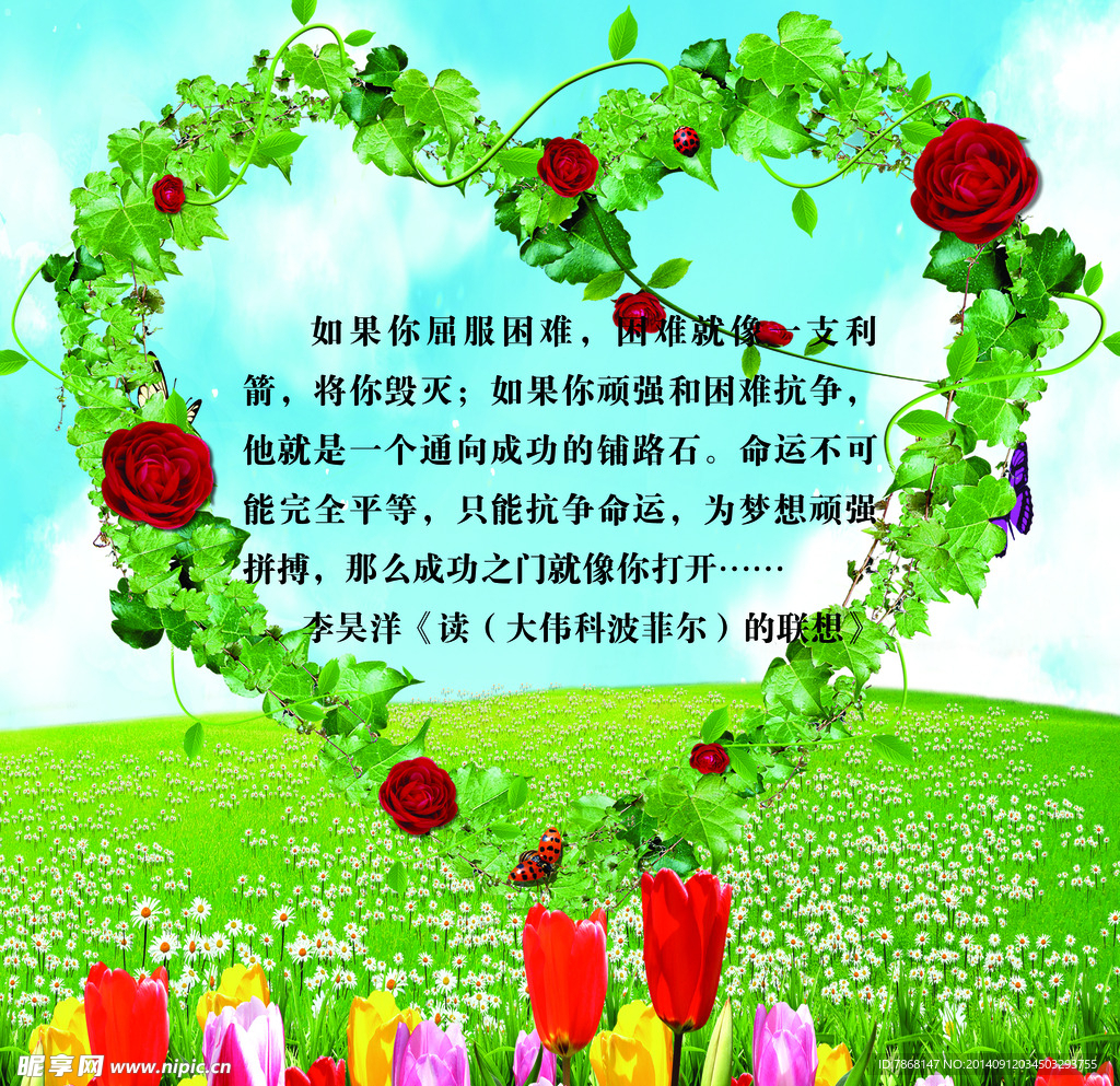 心形 花 玫瑰 绿地 展