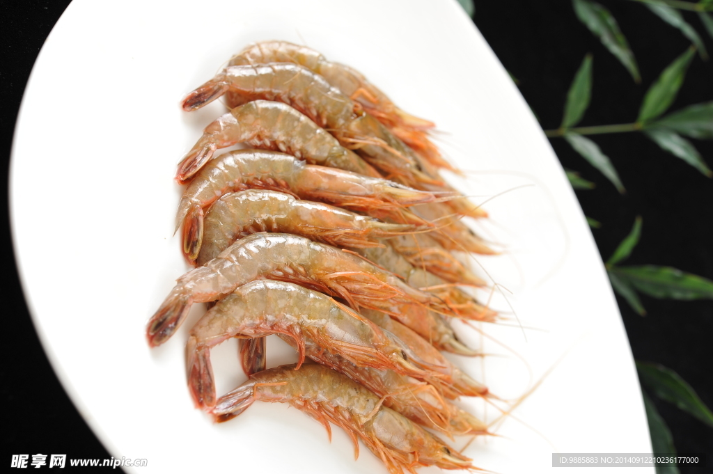 活皮虾