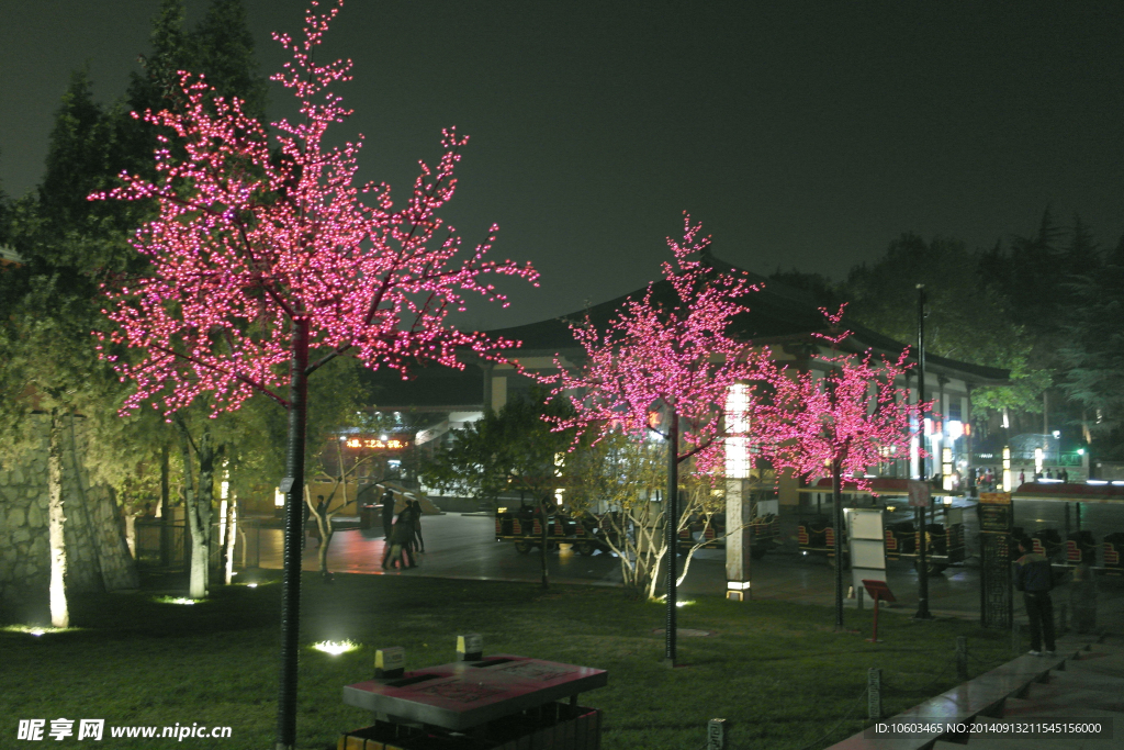 广场夜景 绿化景观