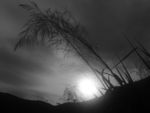 夕阳西下