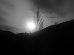 夕阳西下