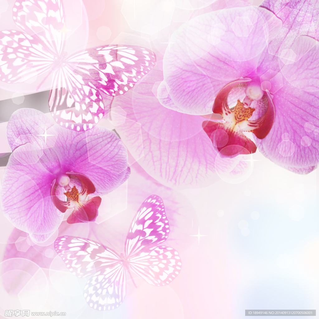 蝴蝶花背景