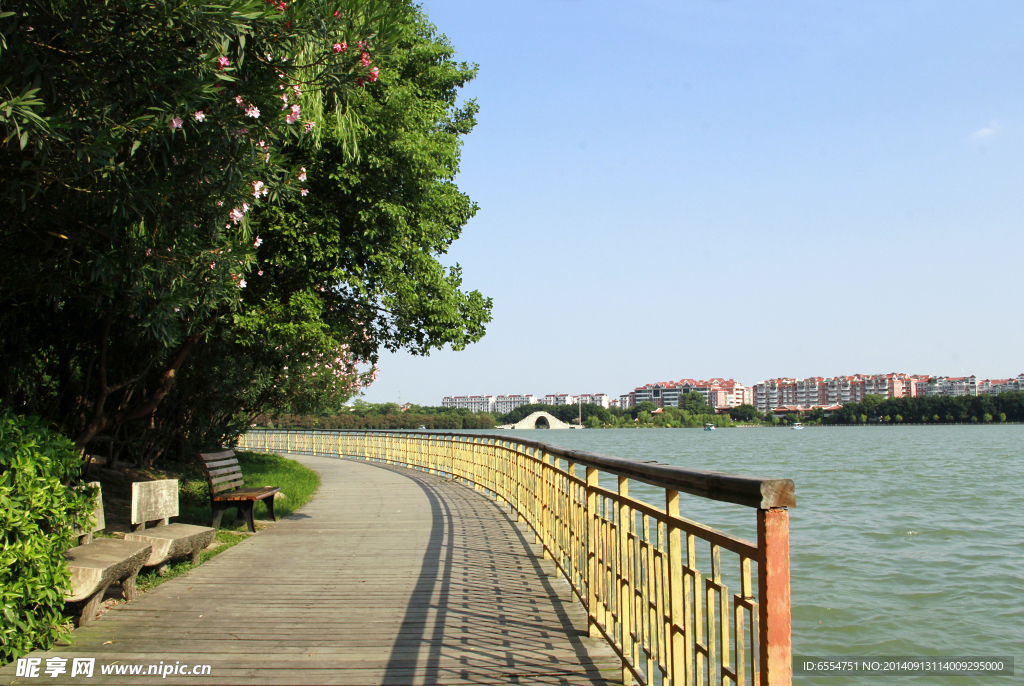 西湖小路 木板路