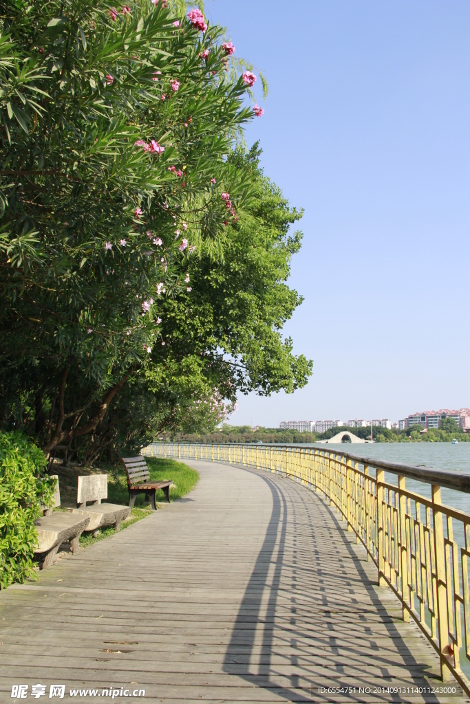 西湖小路 木板路