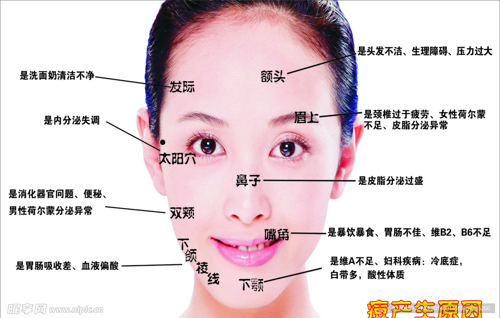 痘痘部位