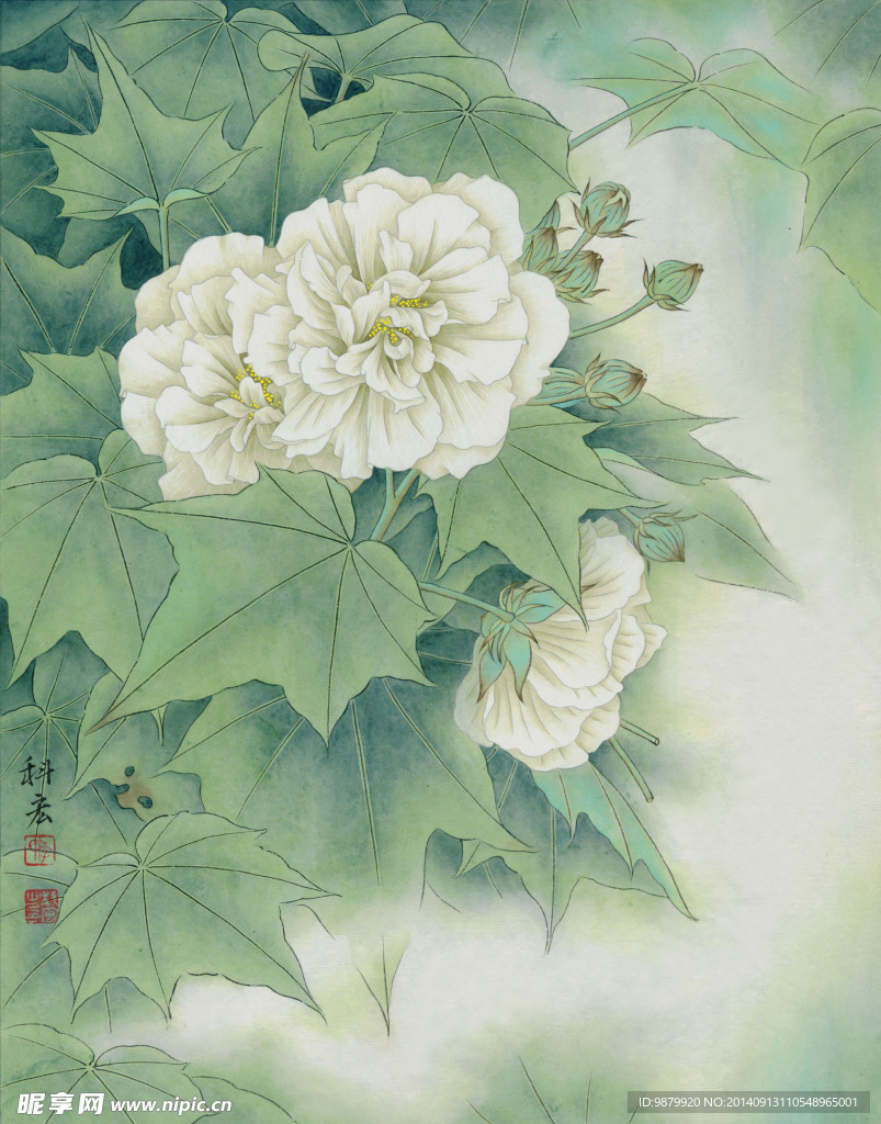 晨曦