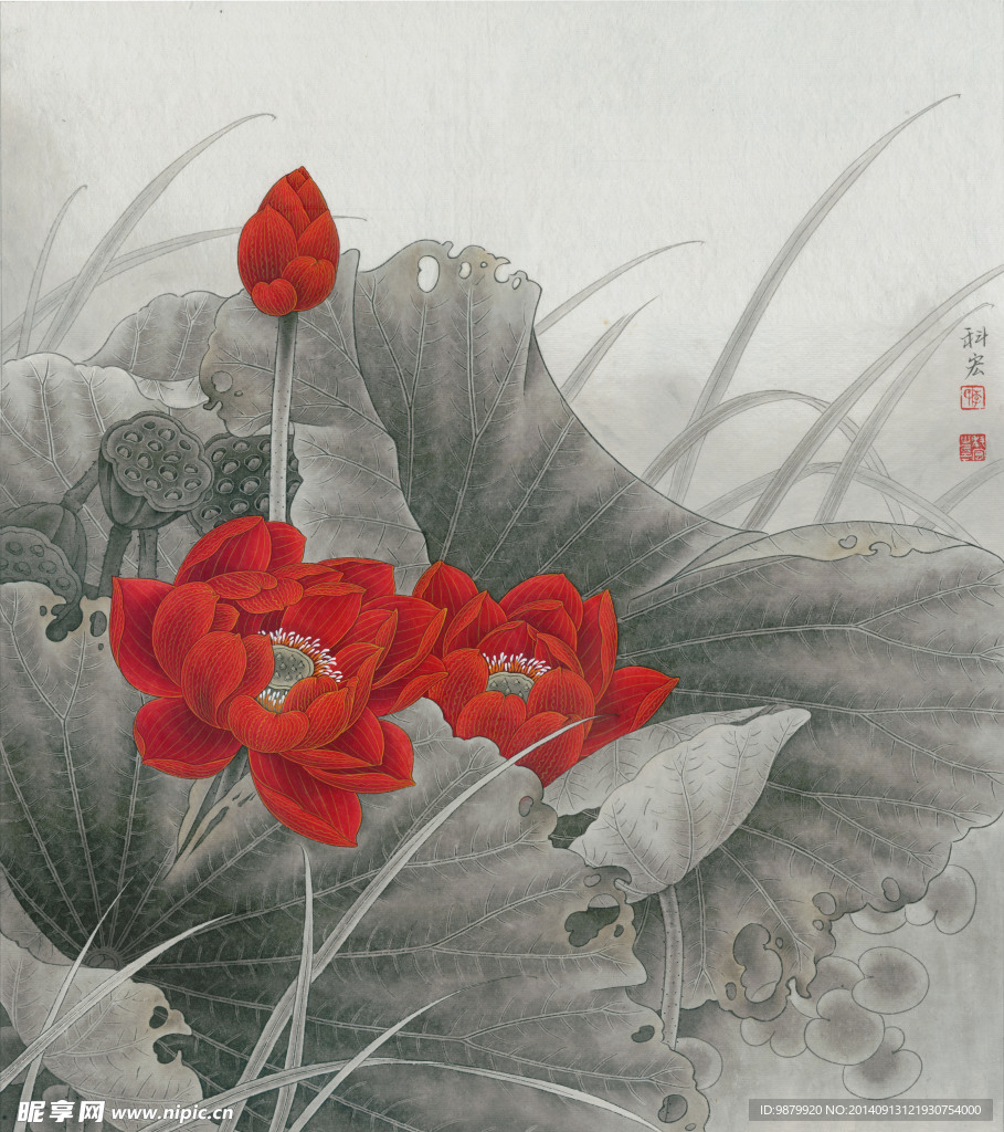秋塘红荷