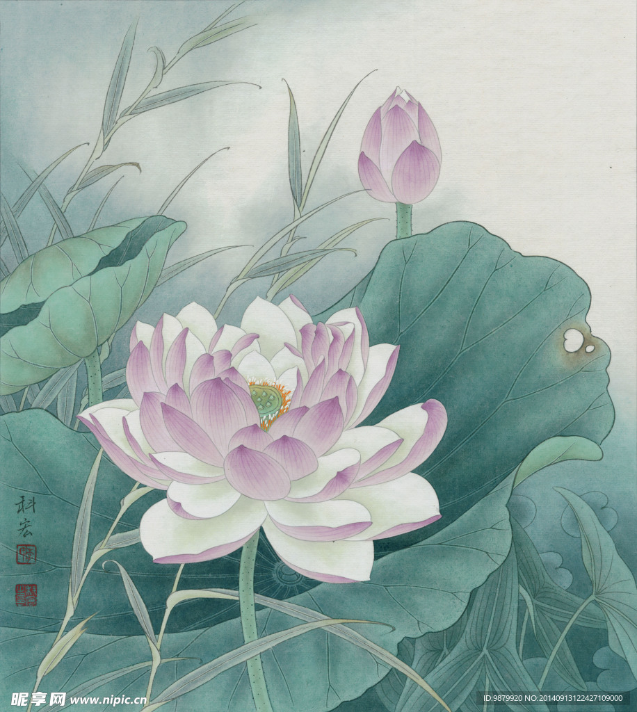 紫莲飘香晨风里