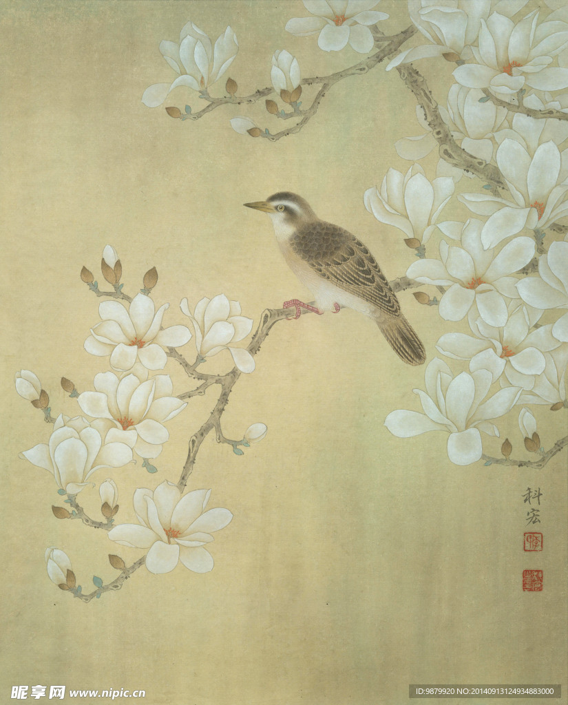 听花语