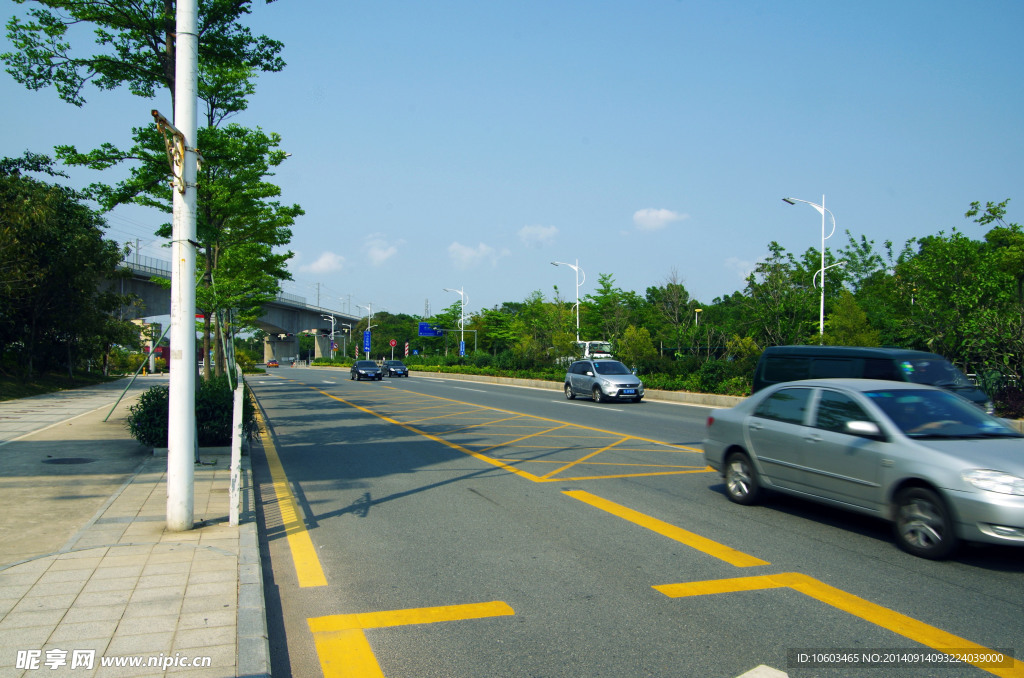 交通建设 城市绿化