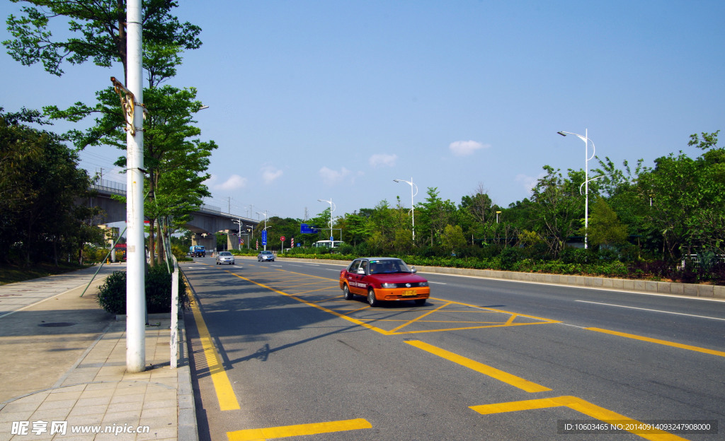 交通建设 城市绿化