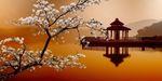 电视背景墙