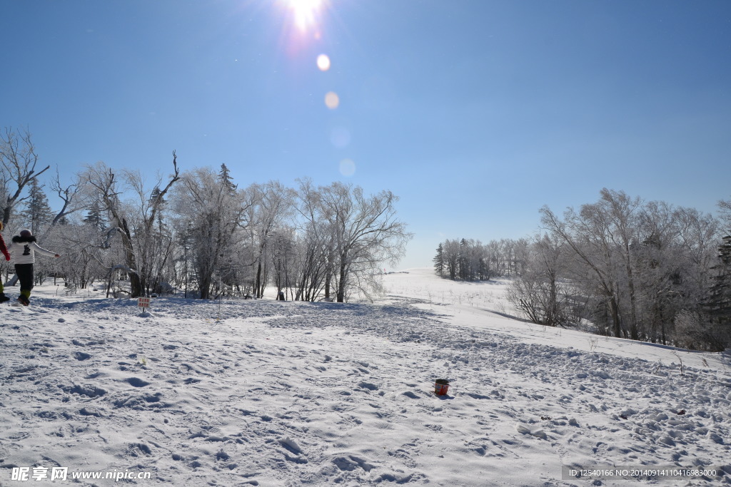 雪景