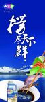 捞尽天下鲜