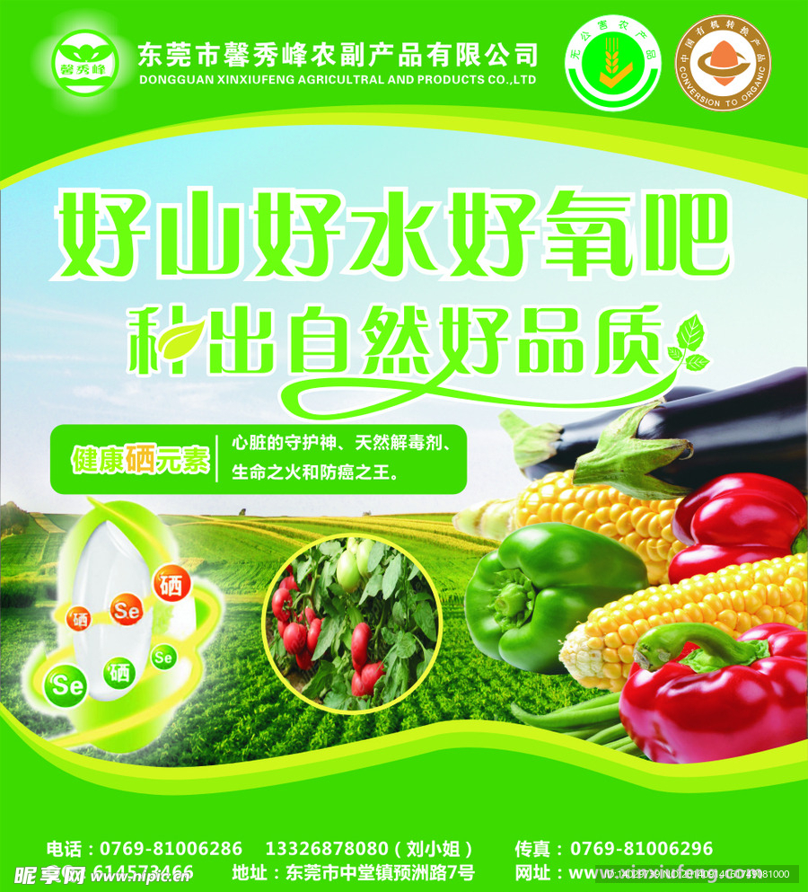 蔬菜海报