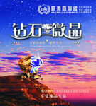 豪美嘉