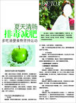 排毒减肥