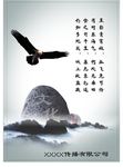 苍鹰