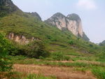 青山