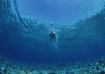 海底世界 海底 潜水员