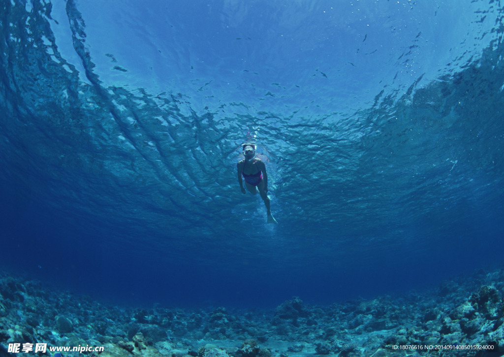 海底世界 海底 潜水员