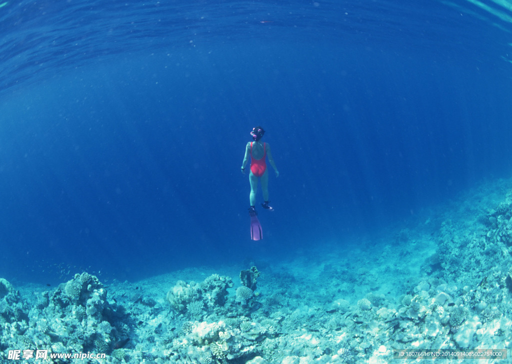 海底世界 海底 潜水员