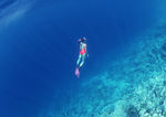 海底世界 海底 潜水员