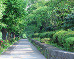 园林风景 园林 风光