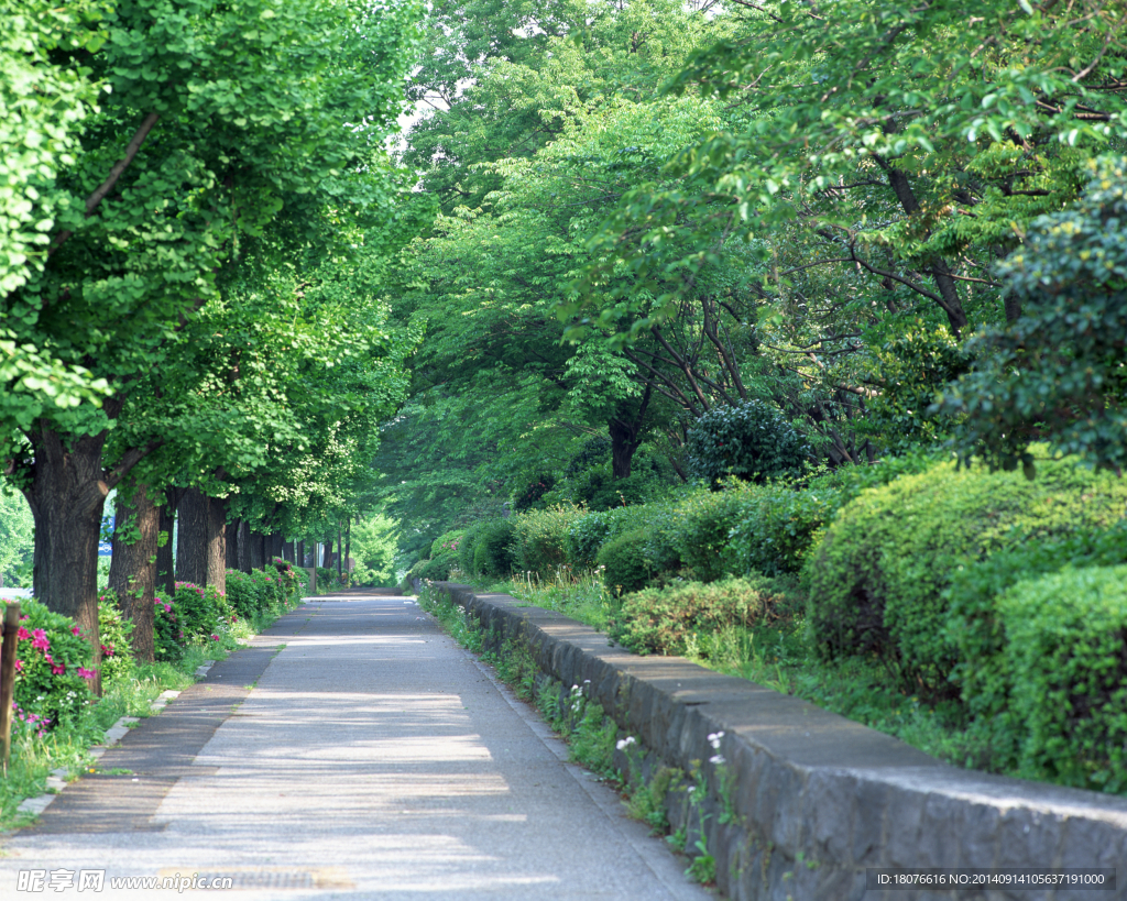 园林风景 园林 风光