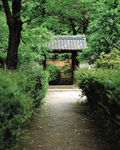 园林风景 园林 风光 