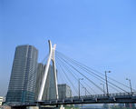 高楼大厦