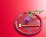 木筷 盘子 特写花草 秀