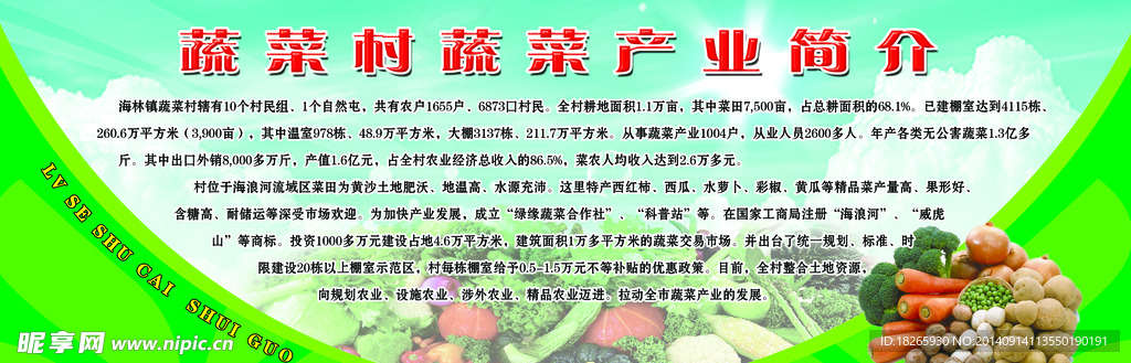 蔬菜产业简介
