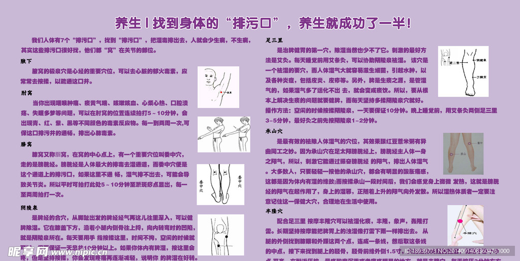 养生
