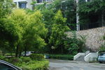 小区