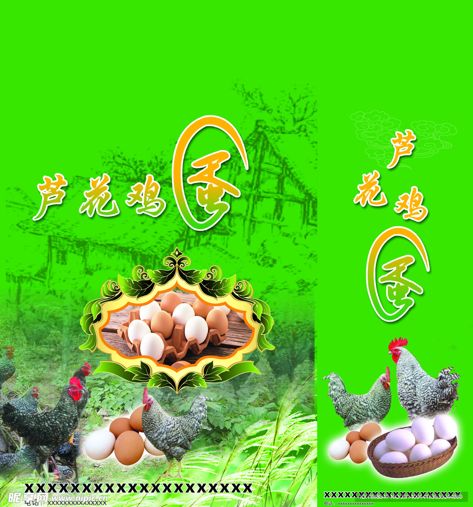 芦花鸡