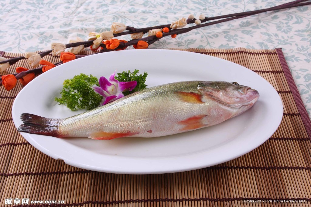鲈鱼