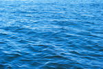 海面