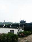 恵山风景