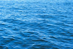 大海