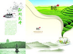茶叶宣传三折页