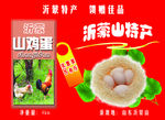 沂蒙山鸡蛋彩页