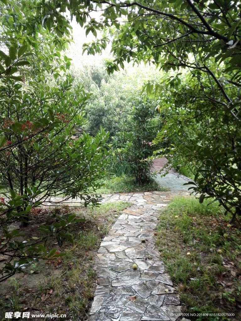 林间小道