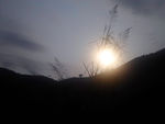 夕阳西下