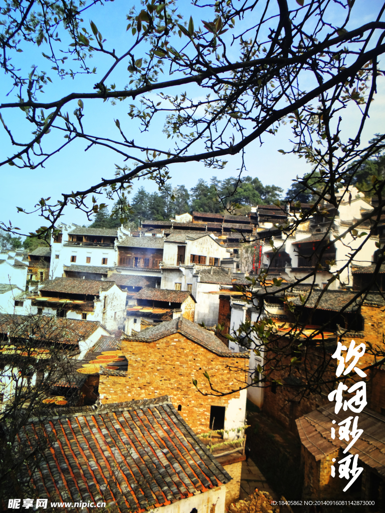 婺源风光