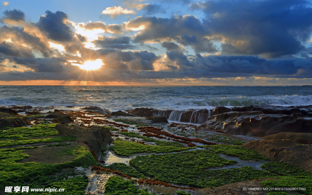 风暴后海田风景