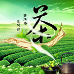 茶社海报