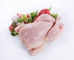 生鸡肉