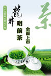 茶 龙井 明前茶