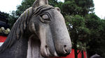 锦里 神兽